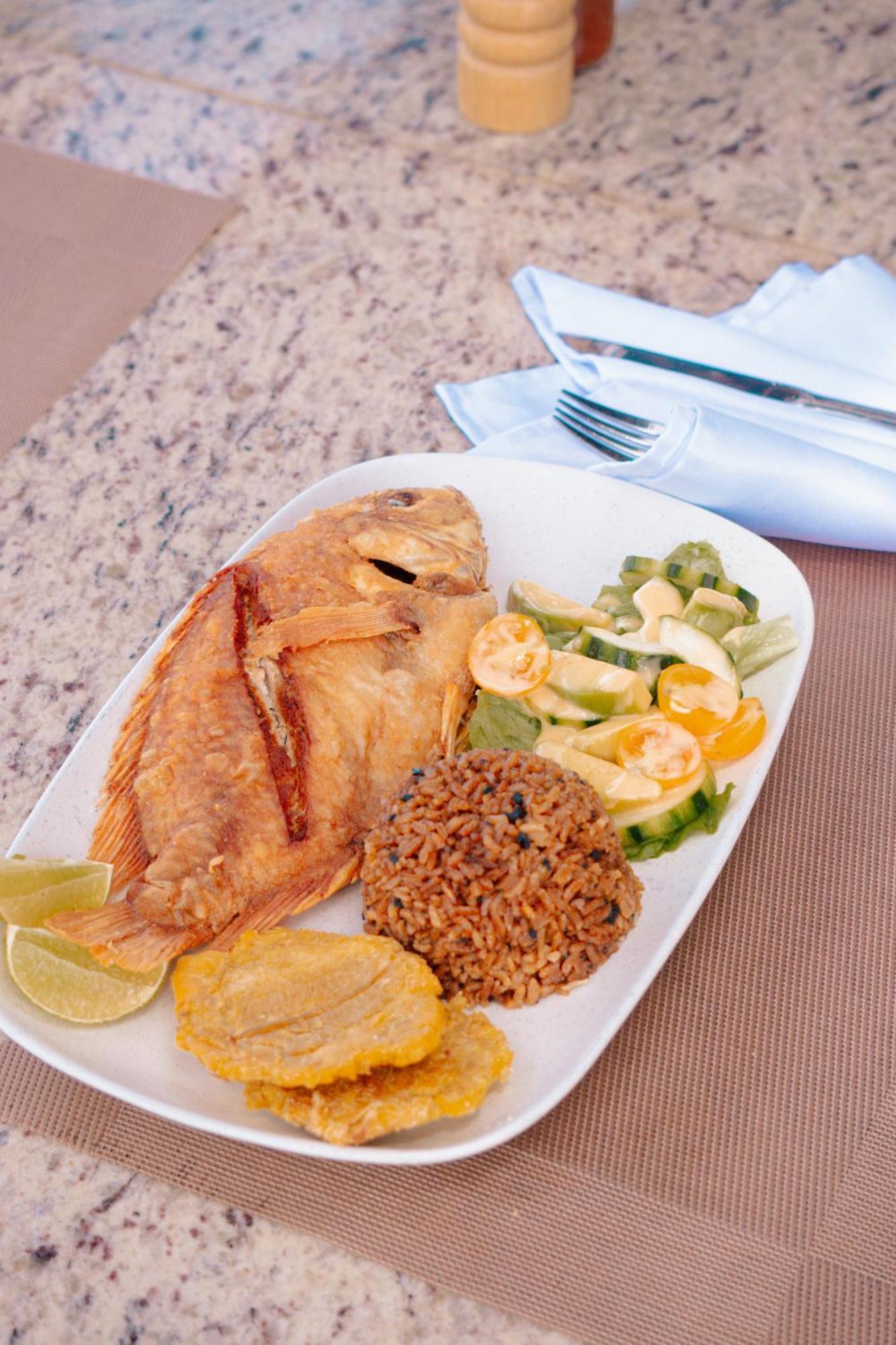Hukumeizi Palomino Ngoại thất bức ảnh