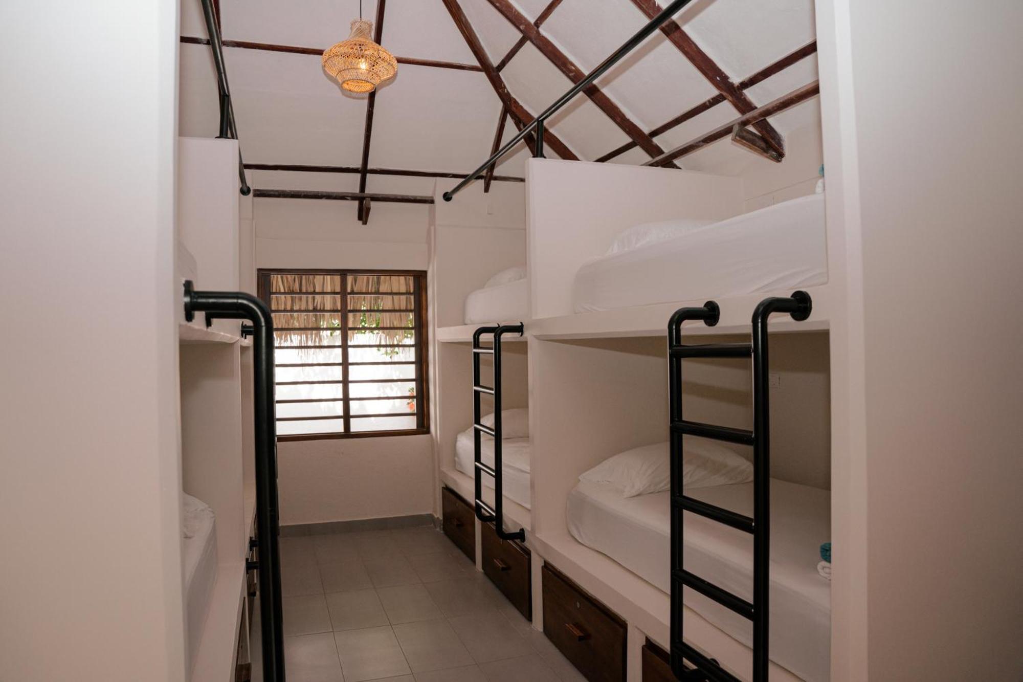 Hukumeizi Palomino Phòng bức ảnh