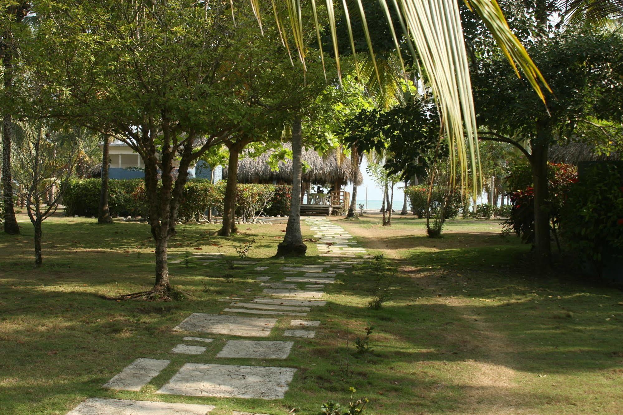 Hukumeizi Palomino Ngoại thất bức ảnh